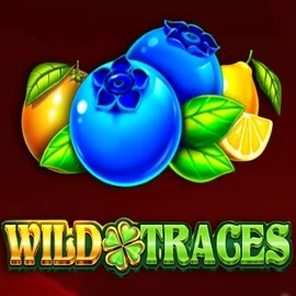 Wild Traces game by Amusnet Interactive – logo hosted on Sankra Casino